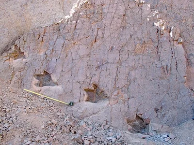 Sitio paleontológico con huellas de dinosaurios en Chile